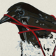 Illustration for article titled Death Cab For Cuties emTransatlanticism/em to get a deluxe reissue this fall